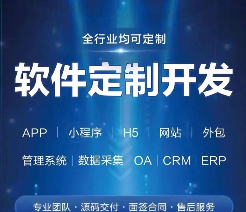 企业官网定制：构建品牌形象的翅膀